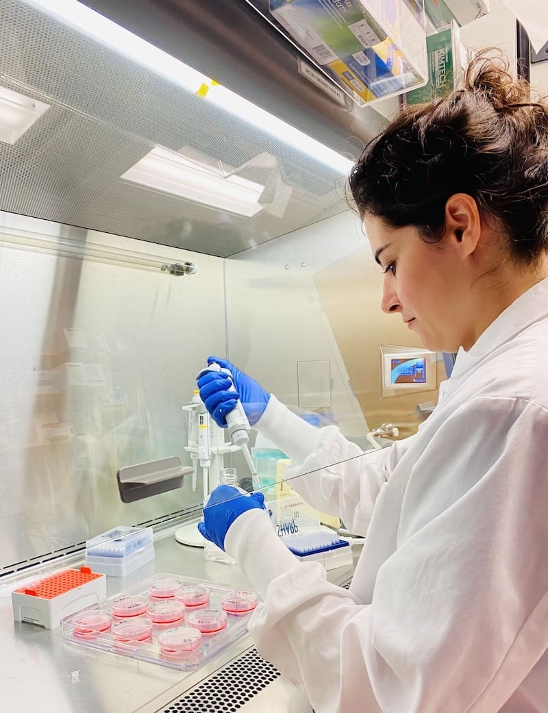 ساخت رُباتهای بیولوژیکی از سلولهای انسان توسط دانشمندان