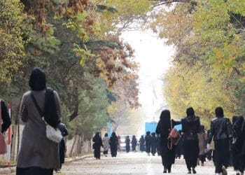 «بجز گریه راه‌حلی ندارم»؛ تراژدی دانشگاه و دختران در افغانستان